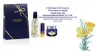 L'Occitane First Signs of Aging 3 PC Set Immortelle Oil + Serum + Precious Cream