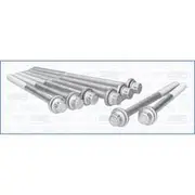 Austral Cylinder Head Bolt Set - 81047300