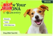 Know Your Pet Dog DNA Test - Breed Identification, Genetic Traits, DNA Matches