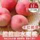 【果農直配】卡拉部落拉拉山水蜜桃x1盒(12顆/約1.2-1.4kg/盒)
