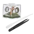 Live Jumping Spider Acrylic Tank Jumping Spider Habitat Spider Breeding Case
