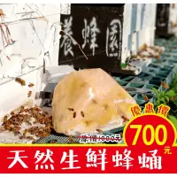 在飛比找蝦皮購物優惠-【臺一養蜂園】【生鮮蜂蛹1公斤(1000g)】蜜袋鼯鳥類食物