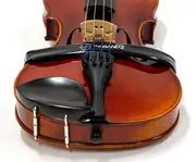 The Band Violin Pickup