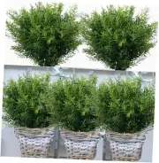 12 Bundles Artificial Greenery Plants Outdoor Fake Grass Shrubs UV 1#green