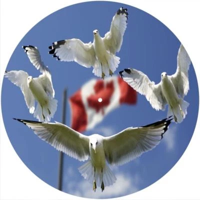 Slipmat Slip Mat for 12" Turntable LP DJ Record Player Deck FLAG CANADIAN GULLS