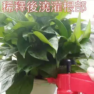 【第二瓶半價💗】阿司匹林粉  正品質保  養花  阿司匹林 阿司匹林 粉末 養花 骨粉 養花 花卉