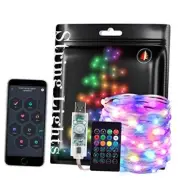 RGB IC WS2812B USB Twinkle Smart Fairy Light 32FT 100LED Transparent wire