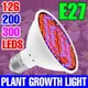 Led 全光譜燈 E27 植物生長燈泡 E14 Phytolamp GU10 生長燈 MR16 溫室水培系統 30W 5