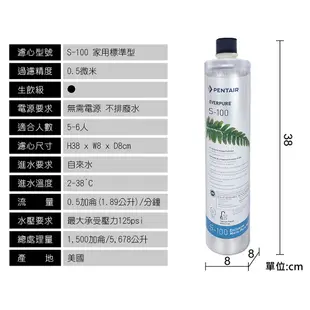 Everpure S100單道淨水器 / 無鉛龍頭