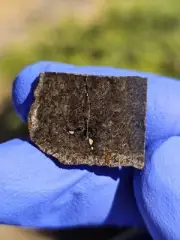 Meteorite**Hassi Zerara 001, Lunar Mare Basalt**2.606 grams, Transitional-Ti !!!