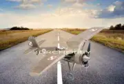 Polish Fighter PZL P-11-C 53" WS RC Model Airplane Plans & Templates PRINTED