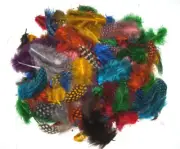 Spotted Guinea Hen Feathers 1-4" Body Plumage MIXED COLORS 1/4 oz bag