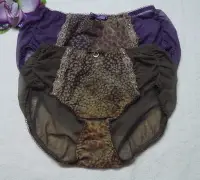 在飛比找Yahoo!奇摩拍賣優惠-【奧黛莉】豹紋蕾絲繡花內褲【3802852】~M,L~紫色,