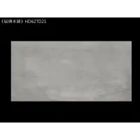 在飛比找蝦皮購物優惠-《磁磚本舖》HD62TD21 霧面深灰石英磚 60x120c