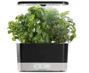 AeroGarden Harvest Indoor Garden Hydroponic System with LED Grow Light - BLACK