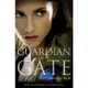 Guardian Of The Gate預言姊妹2門扉的守護者(MIchelle Zink) 墊腳石購物網