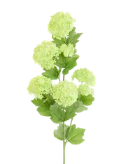 Green Snowball Spray 68cm