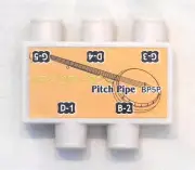 NEW YORK PRO 5 STRING BANJO PITCH PIPE TUNER D B G D G