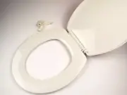 Glacier Bay Round White Toilet Seat