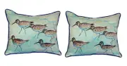 Pair of Betsy Drake Sandpipers Large Pillows 18x18