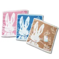 在飛比找松果購物優惠-台灣製 彼得兔 純棉 大方巾-蘿蔔 雙色緹花 洗臉巾 比得兔