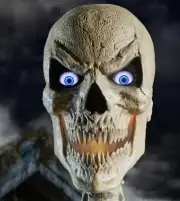 Home Accents Holiday Standard Skelly Scary Head