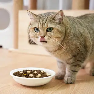 【原廠配件】霍曼homerun 白色陶瓷碗Maca貓碗貓食盆適配Real智能餵食器貓咪狗