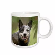3dRose Australian Cattle Dog Mug