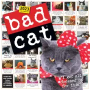 Bad Cat Wall Calendar 2023 by Workman Calendars