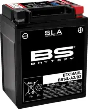 Arctco/ Tigershark MONTE CARLO 640 1997 BS Battery BB14L-A2