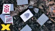Vitreous Playing Cards by Jeremy Griffith