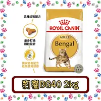 在飛比找蝦皮購物優惠-Royal Canin 法國皇家 BG40豹貓專用飼料--2