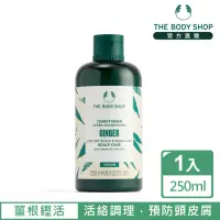 在飛比找momo購物網優惠-【THE BODY SHOP 美體小舖】薑根鏗活頭皮護髮乳(