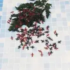 50/100/200Pcs plastic realistic ants Halloween pranks joking toys decoration-bp