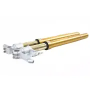 Yamaha Mt 10 2016 2023 Ohlins Front Fork Fgrt 200 Fgrt 219