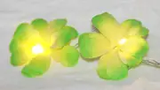 GGP 1 Set Of 20 Led Green Frangipani Flower Battery String Lights Christmas Gift Home Wedding Party Decoration Outdoor Table Garland Wreath