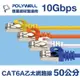 POLYWELL CAT6A 超高速乙太網路線 S/FTP 10Gbps 50公分