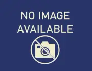 BOSCH EVO20 BMW Volvo Land Rover Mini Mercedes-Benz Saab Jaguar Porsche (for: Saab)