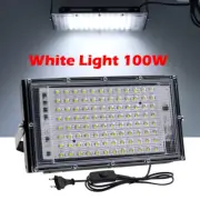 LED Flood Light 50W 100W AC220V Outdoor Floodlight White Warm White RGB Outdoor
