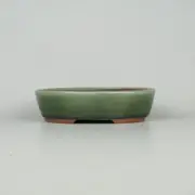 Japanese bonsai pot TOKONAME YOZAN Oval shape W15cm H3.8cm Green Glazed