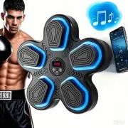 Music Boxing Machine with Gloves Smart Bluetooth Wall Mounted Punching Trainer