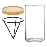 Avocado Tree Growing Kits Vase Wooden Base Seed Starter Glass Plant Pot