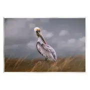 Wildlife Pelican Bird Cloudy Sky Wall Plaque Art, Design by Kelley Parker