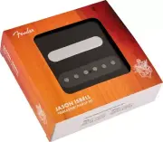Fender Jason Isbell Telecaster Set