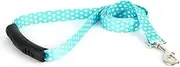 Yellow Dog Design Blue Polka Dot Ez-Grip Dog Leash with Comfort Handle 1" Wide and 5' (60") Long, Large