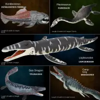 在飛比找蝦皮購物優惠-仿真古獸 仿真恐龍 史前動物 海洋恐龍 滑齒龍 滄龍 鄧氏魚