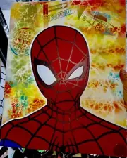 Marvel Avengers Spiderman decor wall art 16x20 Inch Singed Canvas HandPainted Ds