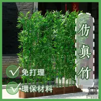 在飛比找蝦皮購物優惠-【仿真竹 宅配免運】塑料假竹子 細水竹 竹子屏風 裝飾假竹子