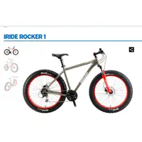 在飛比找蝦皮購物優惠-捷安特MOMENTUM胖胎自行車 iRide Rocker1