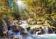 Castorland The Forest Stream 2000 Piece Jigsaw Puzzle